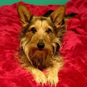 Meet your Posher, Delores